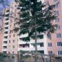 Приобрести недвижимость в Одессе